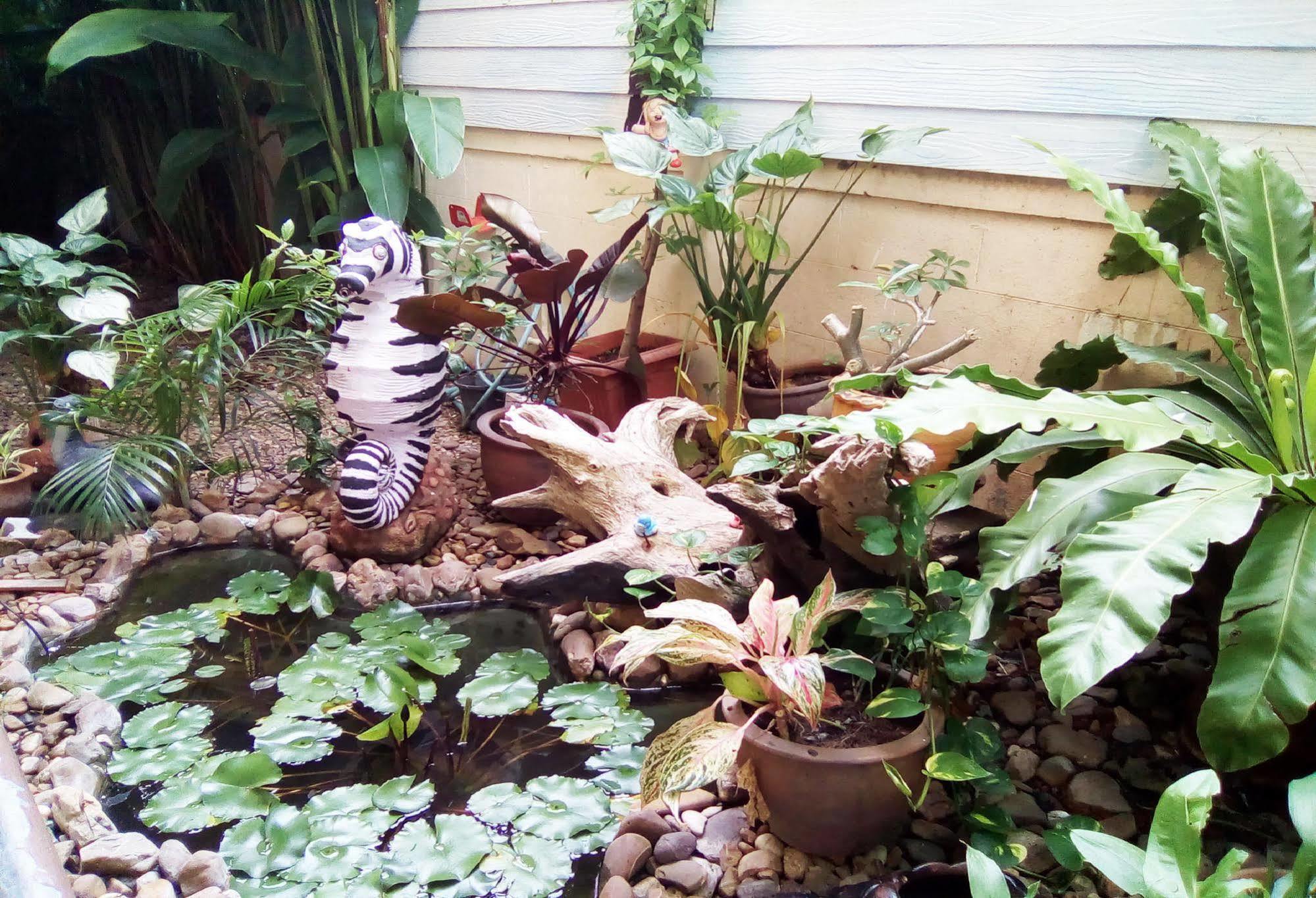 Ban Chanchay Hua Hin Ngoại thất bức ảnh